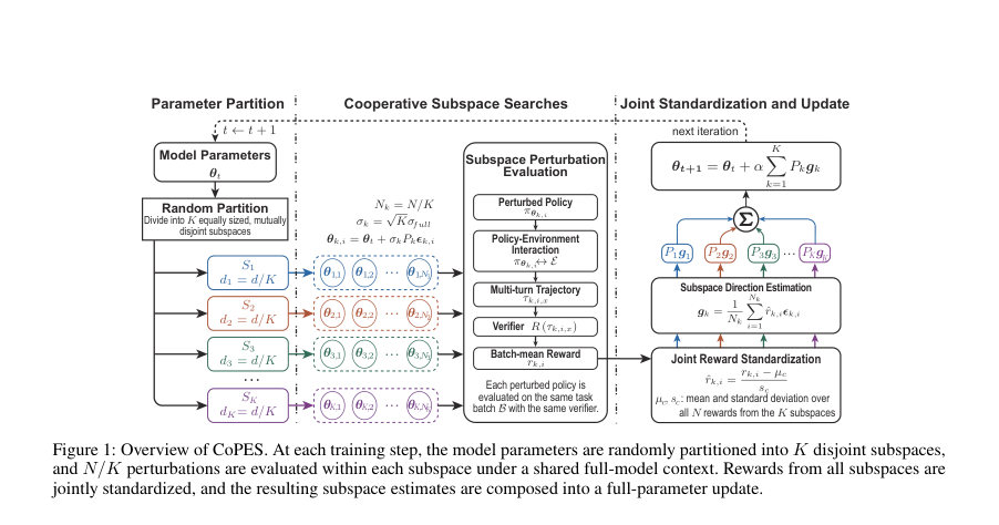 Figure 1: Overview of CoPES. At each training step, the model parameters are randomly partitioned into K disjoint subspaces,