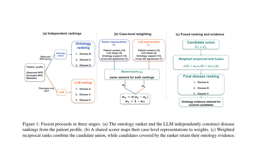 Figure 1: Fusion proceeds in three stages. (a) The ontology ranker and the LLM independently construct disease